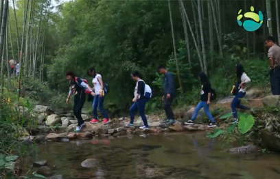 北江紡織《為愛行走》