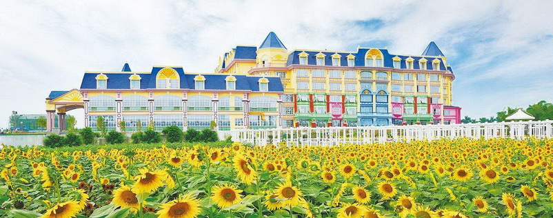 南沙百萬(wàn)葵園主題公園