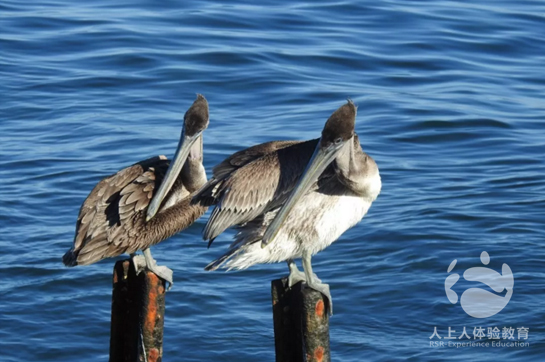 拓展培訓(xùn)項目《孤島》概述
