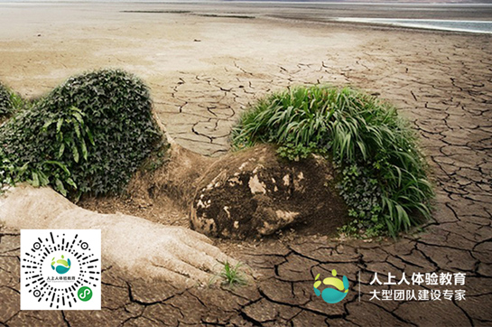 植樹節(jié)丨行動起來，讓地球不流浪