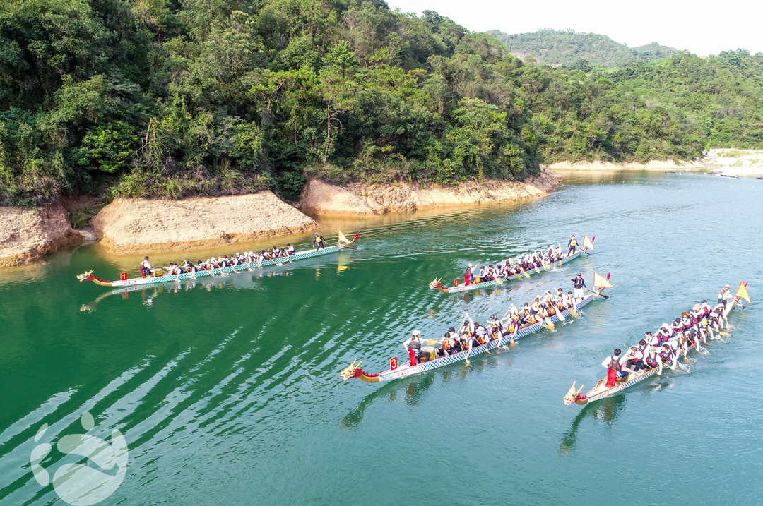 龍舟競(jìng)渡